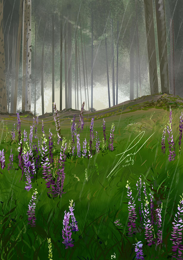Boreal flowers
