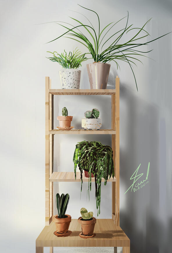 Indoor plants study
