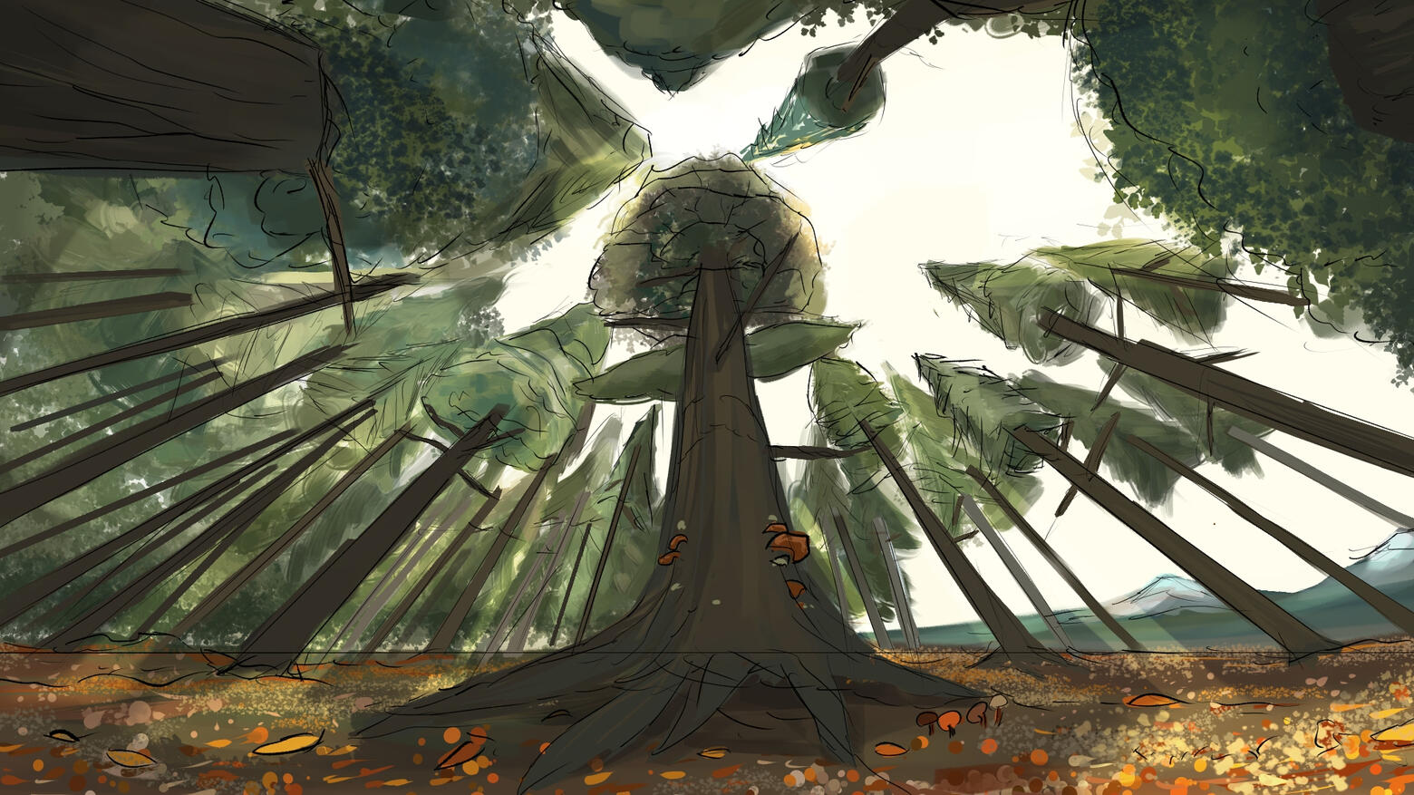 Escape Concept Forest 2